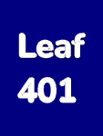 lotion pump leaf 401.jpg
